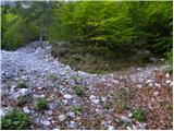 Lom pod Storžičem - Koča na Kriški gori